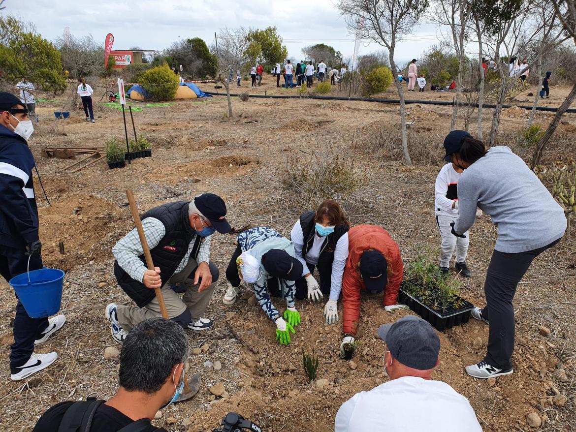 Jornada de reforestación en la Ciudad San Juan de Dios Las Palmas