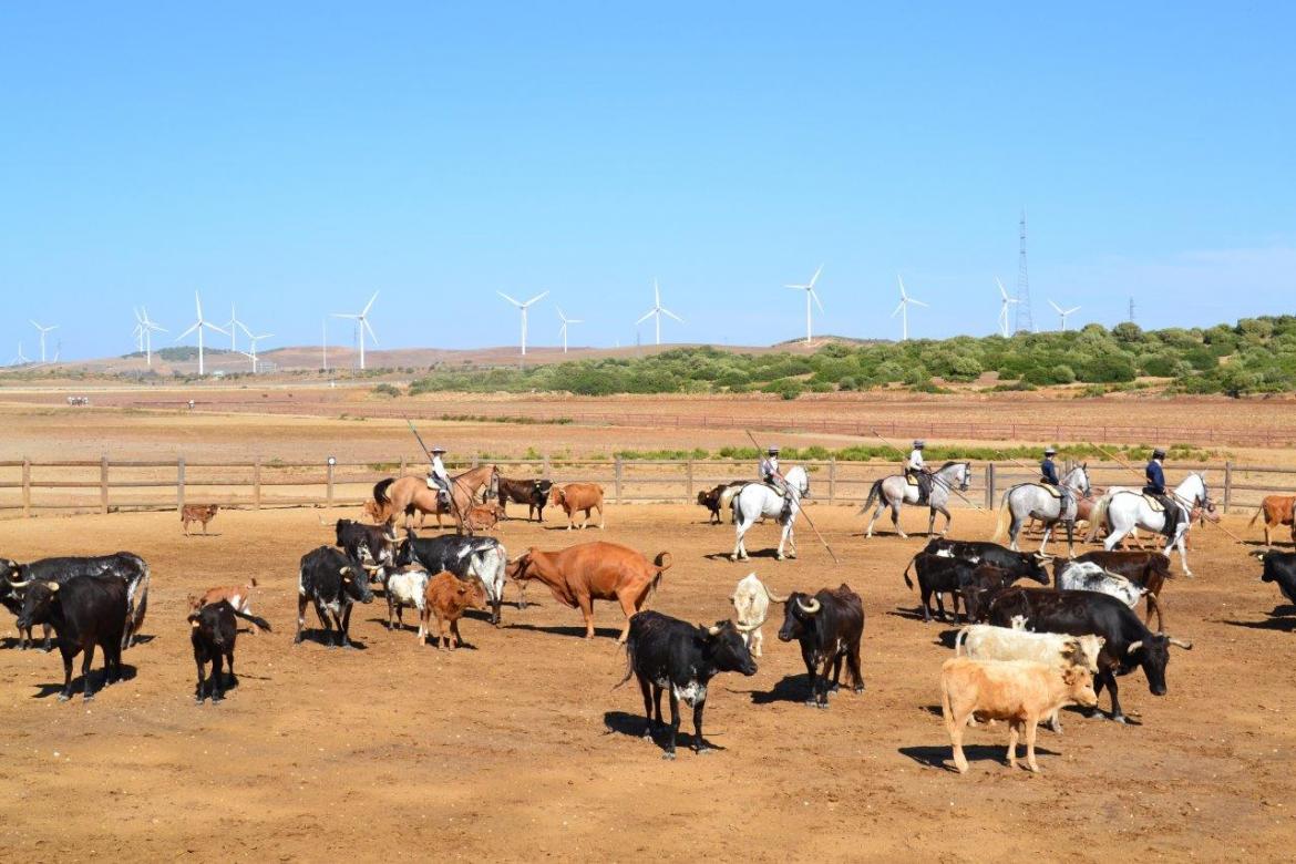 Éxito de la gala "A Campo abierto" de Jerez en favor del Economato