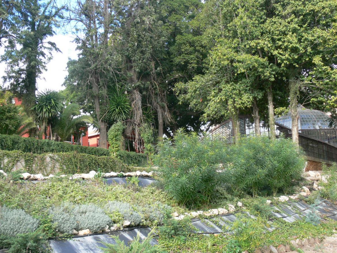 Los jardines y el invernadero de la Hacienda Nadales recuperan su imagen