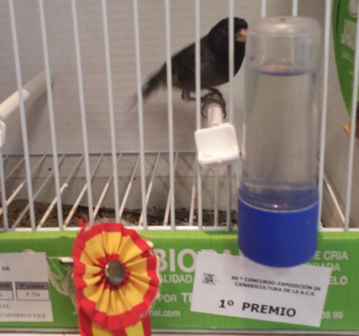 La Terapia Ecológica es premiada en Madrid